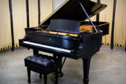 Steinway Model D Concert Grand Piano in Satin Ebony - For Sale by Chupp's Piano Service
