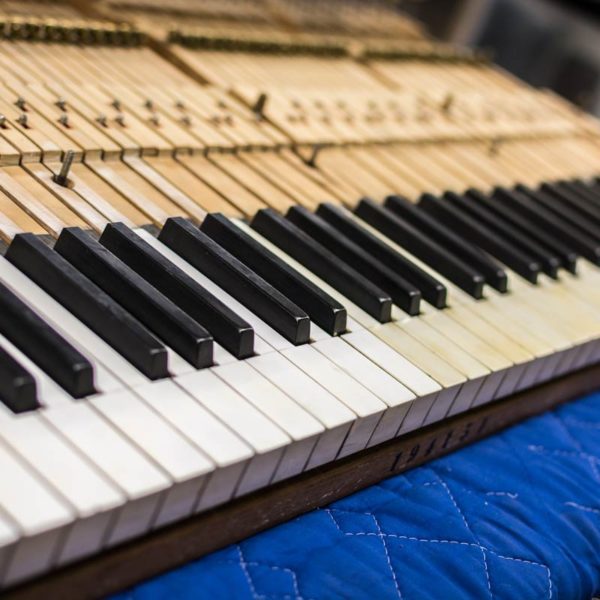Ivory Piano Keytops Undergoing Restoration - Chupp's Piano Service