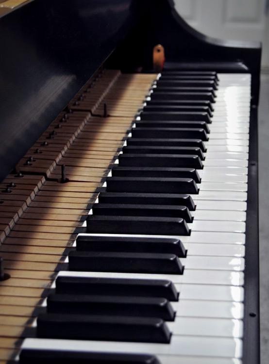 Steinway Piano Keys - Ivory and Pine Keysticks