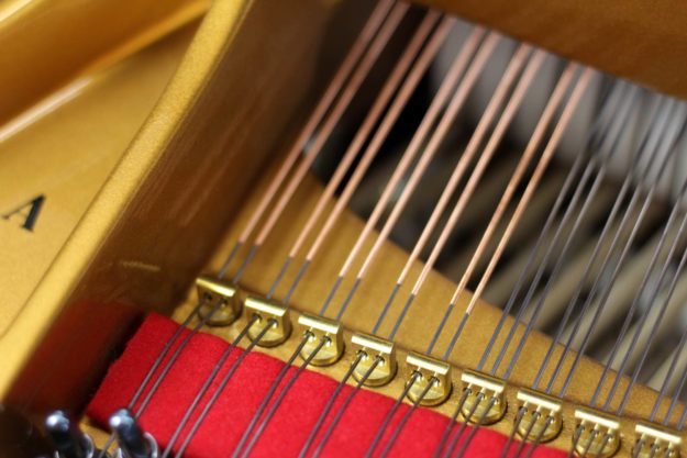 Steinway Strings 2