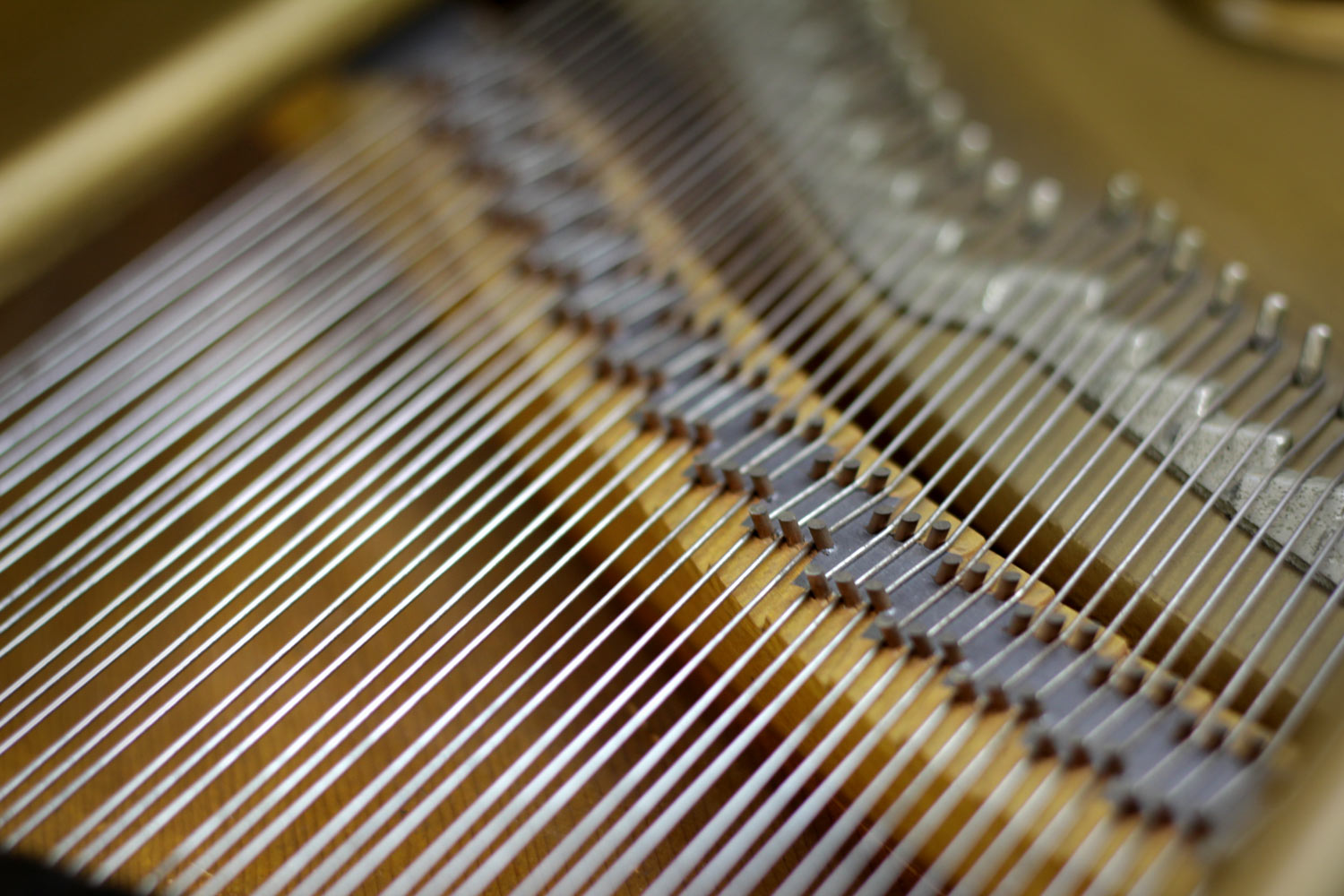 Steinway & Sons Model S Baby Grand Piano Strings