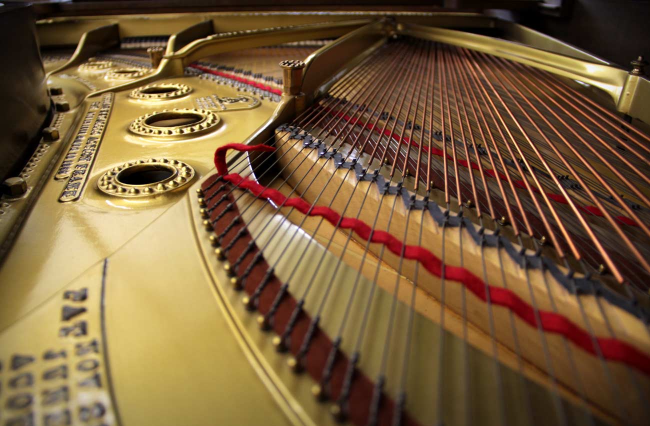 Steinway & Sons Model B Strings