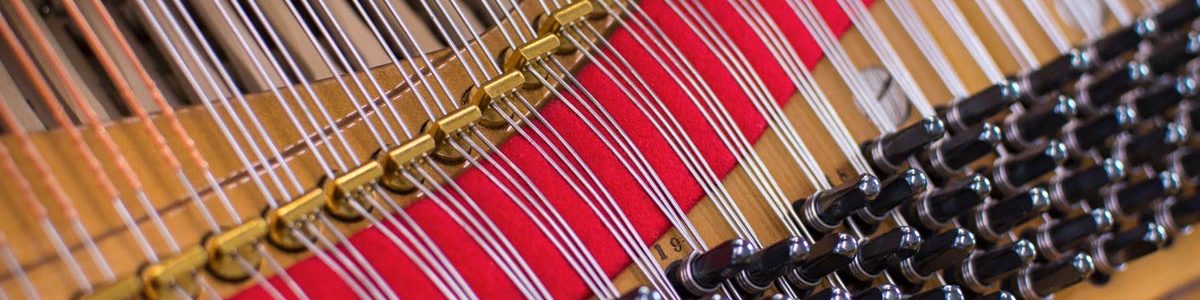 Steinway Model A3 Grand Piano Pins and Strings