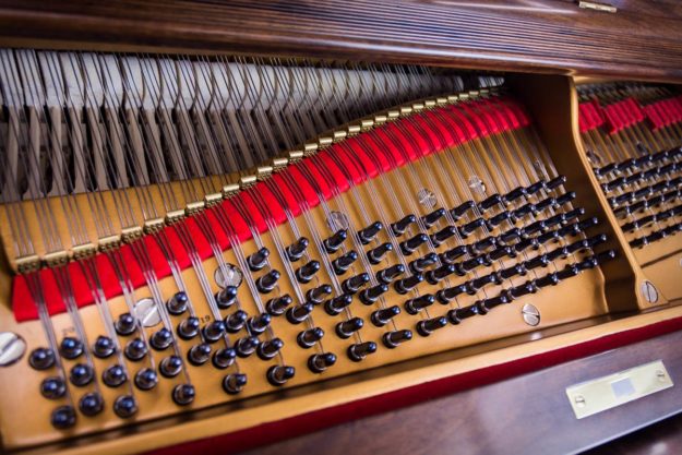Steinway Model B | Tuning Pins, Strings and Hammers