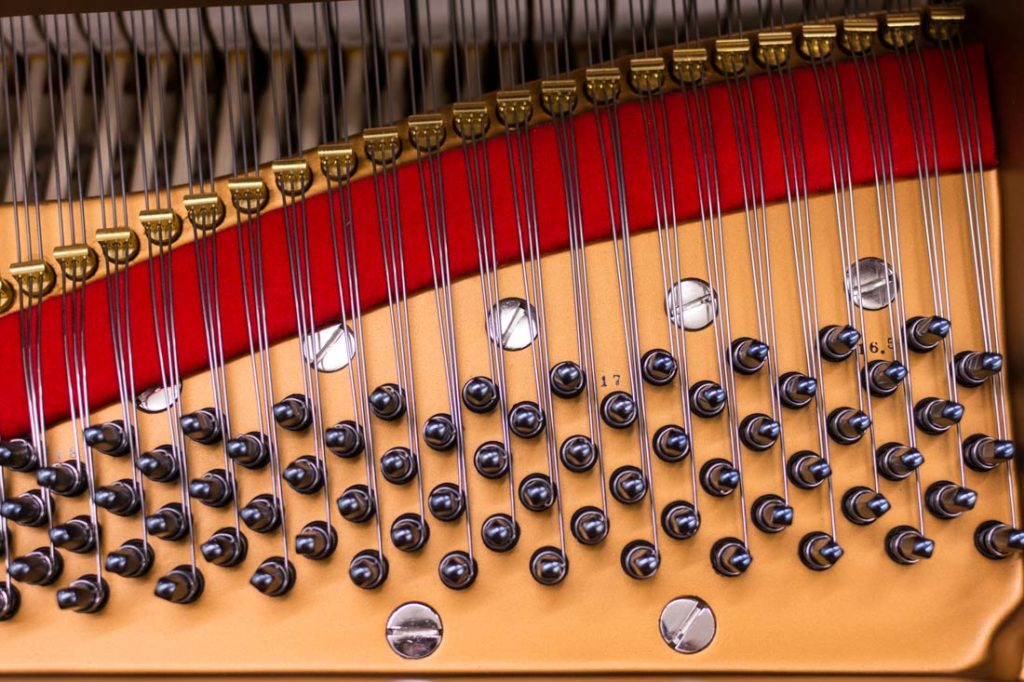 Blued Tuning Pins by Klinke - Steinway Model O #182044