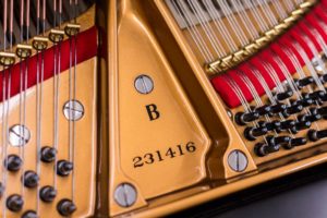 Serial Number | Steinway Model B #231416 - Restored Grand Piano - Steinway Restoration