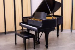 Steinway & Sons Model M Grand Piano #207893