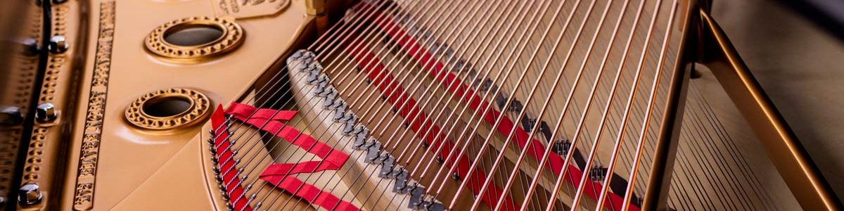 Tail Section - Steinway Model B Grand Piano #216066 - Restored Grand Piano