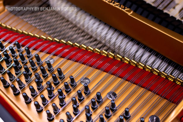 Tuning pins, strings, action parts - Steinway Model B Grand #216066 - Restored