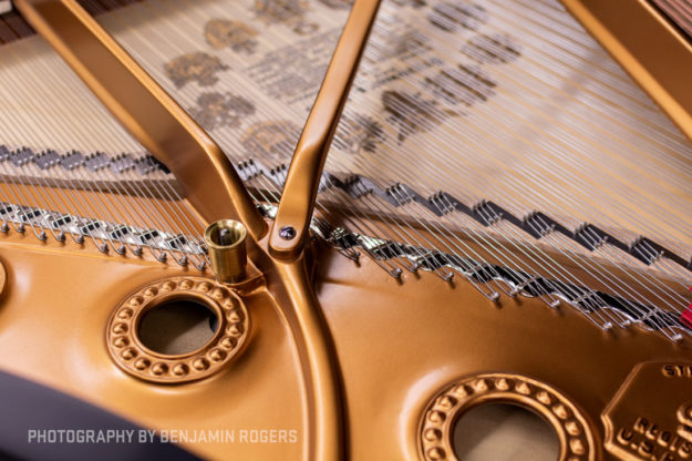 Plate, Soundboard & Strings - Steinway Model B #216066