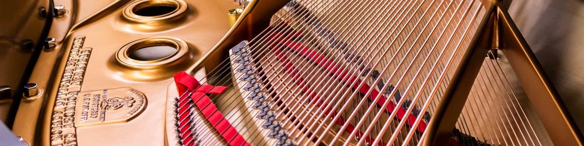 Steinway & Sons Model A Grand Piano - Interior - Restored Steinway Model A Piano