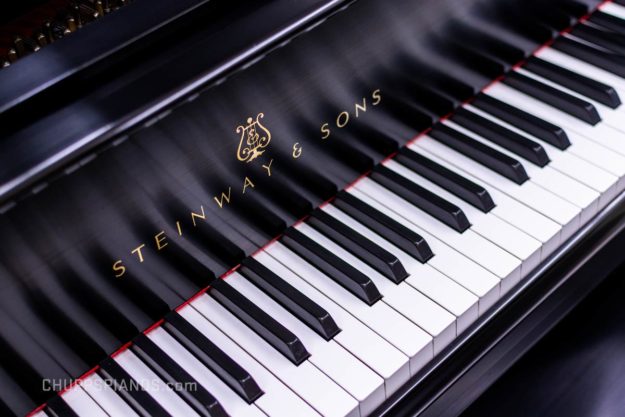 Steinway Fallboard Logo & Piano Keys #528827 - Model L