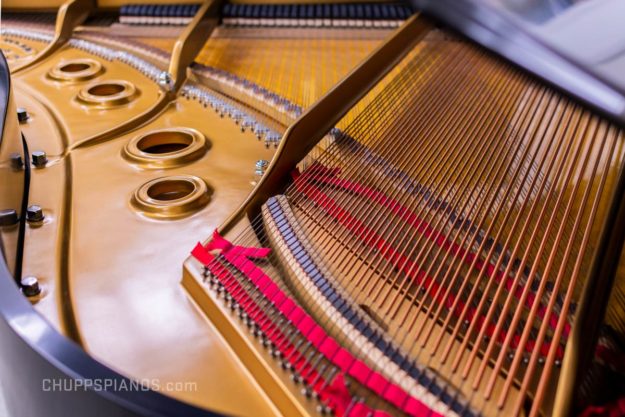 Tail - Steinway Model O Steinway Model L