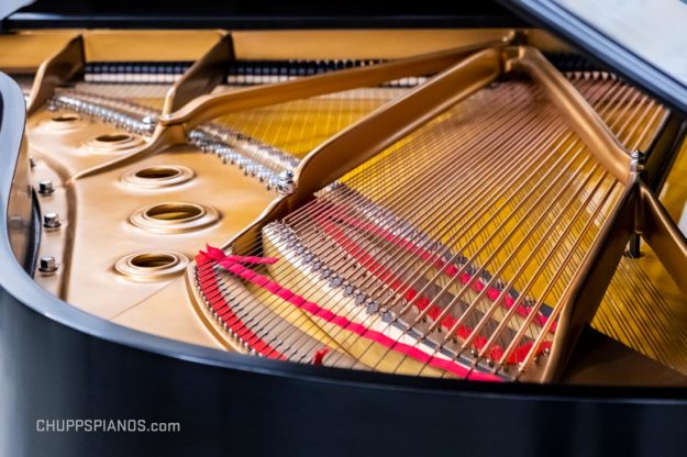 Tail Section - Parlor Grand by Steinway & Sons- for sale by Chupp's Piano Service