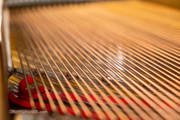Bass Strings - Steinway Model M Grand Piano