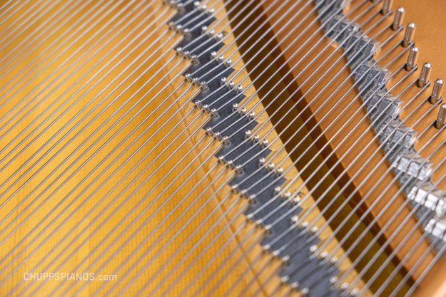 Bridge Pins of a Yamaha C-6 Grand Piano