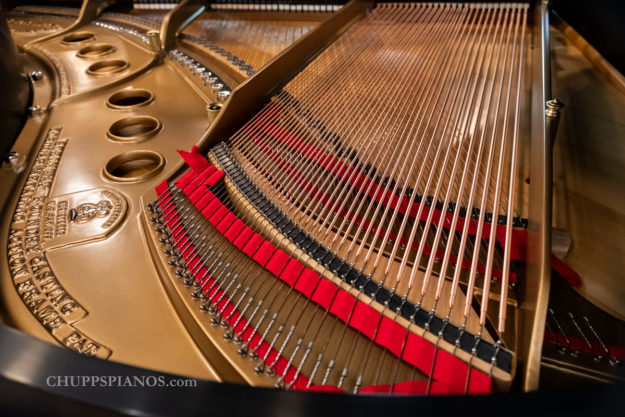 1925 Steinway & Sons Model M Baby Grand Piano #237607 - Fully Restored - Tail Section