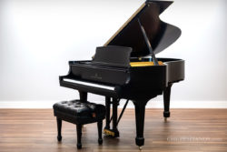 1994 Steinway & Sons Model L Grand Piano - Fully Original - for Sale by Chupp's Piano Service, Inc. - #532613