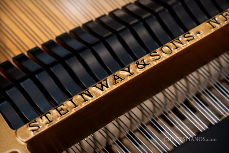 black baby grand piano steinway signed black baby grand piano steinway signed