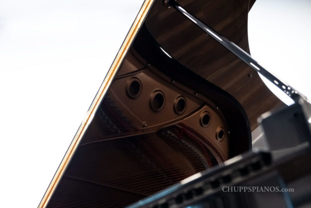 Yamaha C7 Grand Piano - Top-Lid Reflection