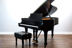 2002 Steinway & Sons Model L Grand Piano for Sale | 562864 - Built in New York