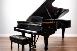 1931 Steinway & Sons Model D Concert Grand Piano - CD180 - Concert & Artist Department Piano Bank Instrument -Restored by Chupp's Piano Service, Inc.