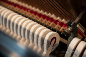 Hammer Heads - Steinway & Sons Model #45 Upright Piano #355219 - Chupp's Piano Service, New Paris, Indiana