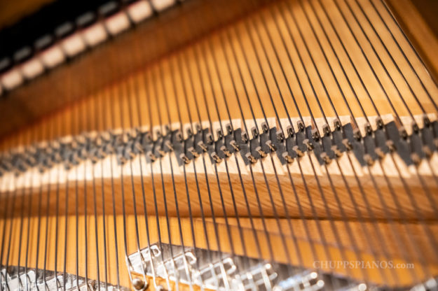 New Bridge Caps - Soundboard - Steinway & Sons Model C Semi-Concert Grand Piano #81103 - Rare Art Case Empire Style Cabinet