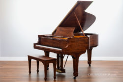 1904 Steinway & Sons Model A-II Grand Piano | Circassian Walnut Art Case Piano - Restoration by Chupp's Piano Service, New Paris, IN