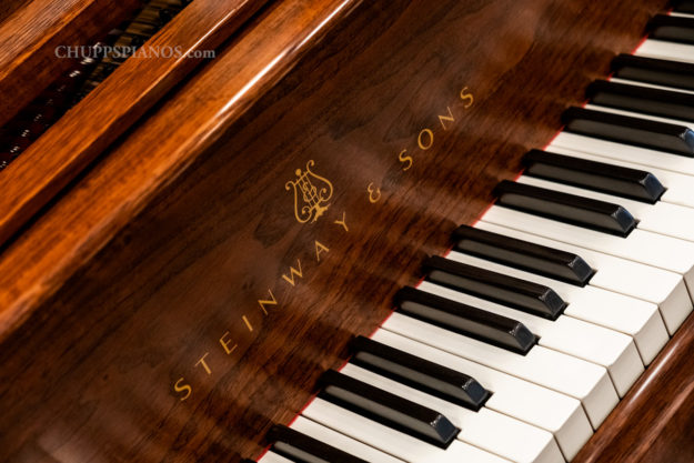 Steinway Fallboard Logo Decal - Walnut - Steinway Model M