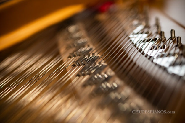 Soundboard Bridges - Strings - Chupp's Piano Service - Steinway Model M #319932 - Walnut - Restored