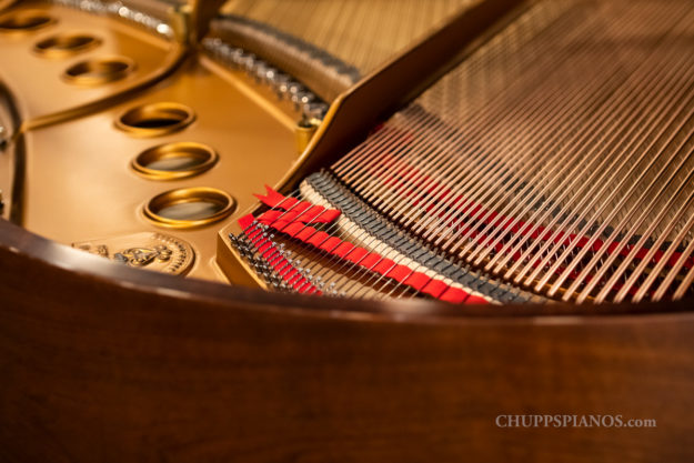 Tail Section of Piano - Steinway & Sons Model M Grand Piano #319932 - Walnut Restored