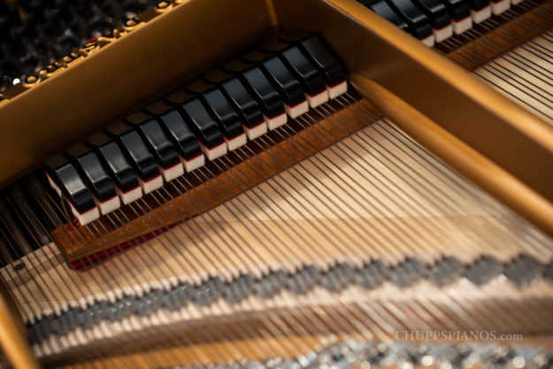 Damper Heads - Damper System, Soundboard Bridges - Chupps' Piano Restoration - Steinway & Sons Model L #240434