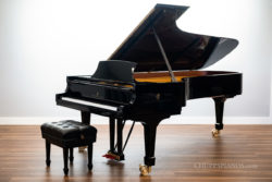 2022 Steinway & Sons Model D Concert Grand Piano #619879 for sale - Polished Ebony - New York Steinway