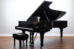 Steinway & Sons Model D Concert Grand Piano - For Sale by Chupp's Piano Service - Midwest Indiana Steinways