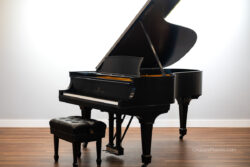 Steinway & Sons Model A-3 Grand Piano for Sale by Chupp's Pianos in New Paris, Indiana