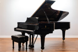 Rare, fully restored Steinway & Sons Model D Concert Grand Piano built in Hamburg, Germany. Restored by Chupp's Piano Service, Inc. of New Paris, Indiana.